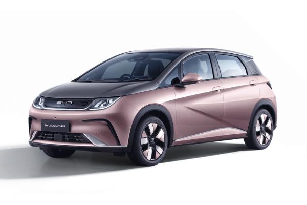 Coral Pink + Urban Grey (Premium)